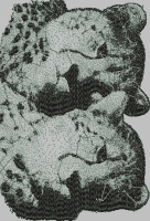 DG 16