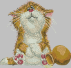 DG 602